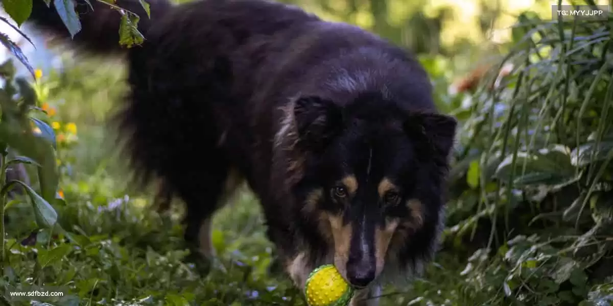 行业领先的理由